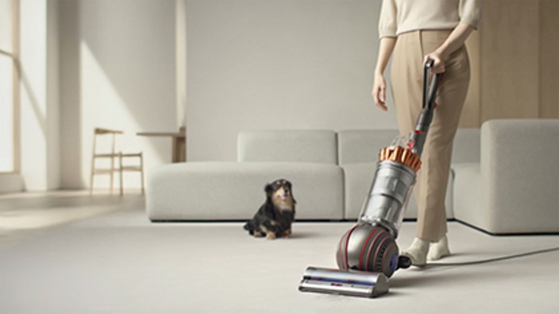 Dyson Ball Animal 3 Extra