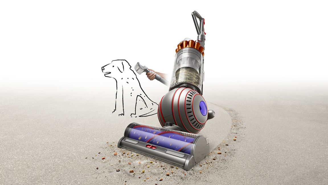 Dyson Ball Animal 3 Extra