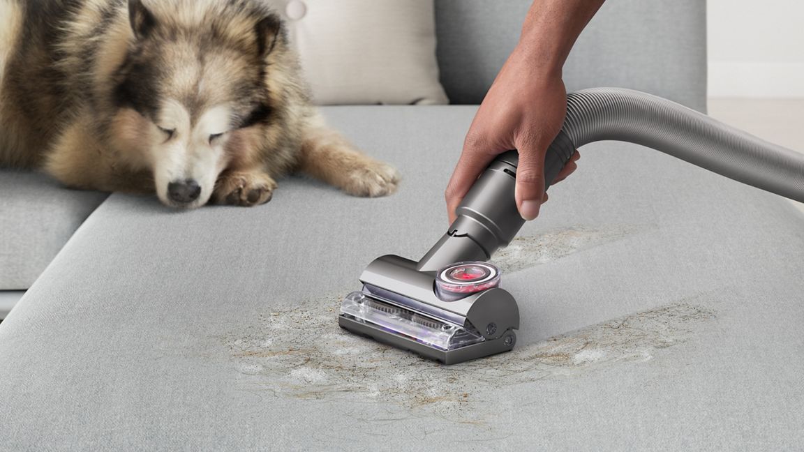 Dyson Ball Animal 3 Extra
